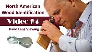 Meet MSU Wood ID Team Intern Eric Brannon