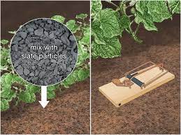 Garden fences should be at least 3' tall. 3 Ways To Keep Animals Out Of Your Vegetable Garden Wikihow