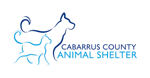 The humane society of the united states joins the jones county sheriff's office and spca of wake county in the rescue of more than 80 dogs from a puppy mill. Pets For Adoption At Cabarrus County Animal Shelter In Concord Nc Petfinder