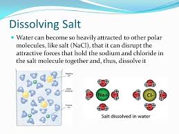 Check spelling or type a new query. Hydrogen Positive H Hydrogen Positive H Oxygen Negative O Water Molecule Ppt Download