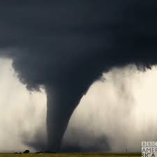 See more ideas about tornado meme, tornado, oklahoma tornado. Cyclone Gifs Get The Best Gif On Giphy