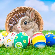 Kelinci paskah adalah makhluk fiktif yang digambarkan sebagai seekor kelinci antropomorfis. Telur Paskah Warna Warni Amankah Dimakan Health Liputan6 Com