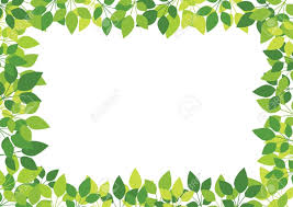 178 free vector graphics of leaf border. Vector Green Leaves On White Clip Art Borders Clip Art Pattern Coloring Pages