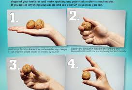 How to check your balls (testicles) a common cancer for men aged 15 to 45 is cancer of the balls (testicles). Know Your Body Cancer Association Of Namibia Wo30