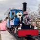 Christmas Special 2025 event image