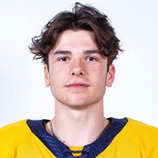 Mavrik Bourque Stats and Player Profile