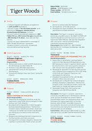 Plaza ibm, first avenue, petaling jaya, 47800, malaysia. Ibm Software Engineer Resume Sample Kickresume