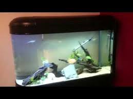 Aps All Pond Solutions 374l Bullet Aquarium Boyu Zdt 1256 Review Youtube Aquarium Fish Tank Tanked Aquariums