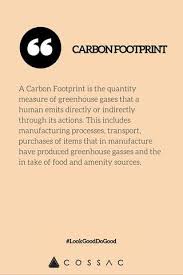 The Modern Girl S Eco Fashion Dictionary Sustainable Fashion Quotes Fashion Dictionary Eco Fashion