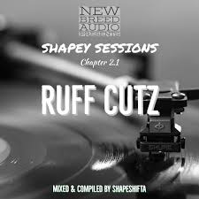 What S It Gonna Be H20 Feat Platnum New Breed Audio