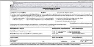 Image result for DOT Examination