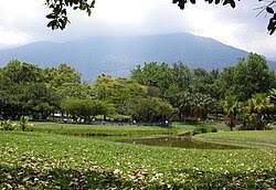 Image result for parque