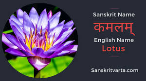 50 List Of Flowers Name In Sanskrit Language And Hindi With Pictures Sanskrit Learnsanskrit Sanskritvarta Flowers In 2020 Sanskrit Names Sanskrit List Of Flowers