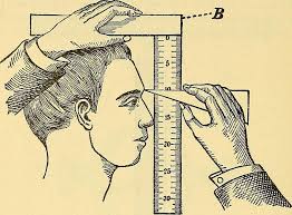 The Gadfly, a Horror Story About School Choice by Steven Singer