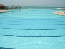 Location Appartement Saint Francois Guadeloupe Toutes Les Annonces De Location D Appartements Pour Les Vacance Saint Francois Location Appartement Location