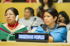 Ethnic group descended from and identified with the original inhabitants of a given region. Indigenous Data Sovereignty