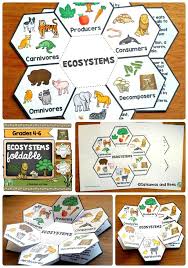 Ecosystems Interactive Science Notebook Foldables Interactive Science Notebook Interactive Science Science And Nature
