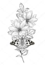 900x877 dahlia flower as drawing in black and white. Hand Drawn Flowers And Butterfly Isolated On Blank Background Black And White Flower And Moth Top View Vector Monochrome Elegant Floral Composition In Vintage Style Tattoo Design Coloring Page Premium Vector