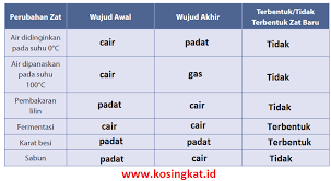 Kunci jawaban ipa kelas 7 semester 2 halaman 71. Kunci Jawaban Ipa Kelas 7 Halaman 129 131 Uji Kompetensi 3 Kosingkat