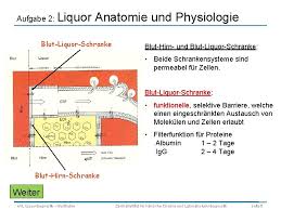 Jedes kannst du auch (muskelaufbau). Evorlesung Grundlagen Der Klinischchemischen Liquordiagnostik Dr Barthuber Zentralinstitut