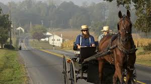 Also, amish people don't really need that much money because they don't go into debt and they take care of each other. Questions About The Amish American Experience Official Site Pbs