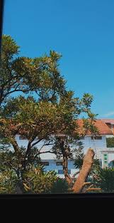 If takes a few seconds to download any background from our site. Langit Bengitu Cerah Berwarna Biru Langit Sky Pohon Tree Biru Blue Fotografi Alam Latar Belakang Foto Abstrak