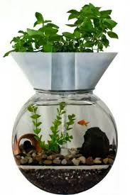 50 Marvelous Small Indoor Aquarium Ideas To Make Your House More Beautiful Indoor Aquaponics Aquaponics Fish Aquaponics Diy