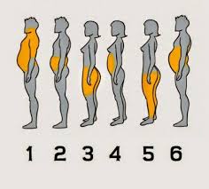 Gambar di atas pun diambil dari akun instagram. Ohbulan Ketahui Kenapa Lemak Terkumpul Di Bahagian Badan Yang Tertumpu Sains Ini Telah Dikaji Dan Terbukti Terdapat 6 Jenis Obesiti Disebabkan Pelbagai Faktor Nah Lihat Sendiri Jenis Badan Korang Mengikut Gambar