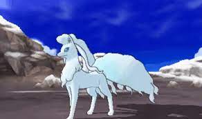 Ninetales pokémon serebii.net pokédex providing all details on moves, stats, abilities, evolution data and locations for pokémon sword & shield. Shiny Hunter Vgc Player Vulpix And Ninetales Alola Forms