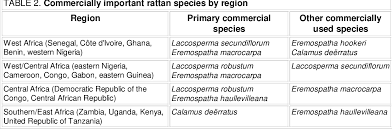 Image result for Eremospatha haullevilleana