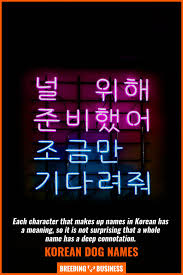 The meaning differs based on the hanja used to write each syllable of the name. 150 Korean Dog Names A List Of Amazing Korean Names For Puppies