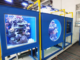 Aquarium Exhibits Designed Prefabricated Ready To Install Public Aquarium Exhibition Design Exhibition