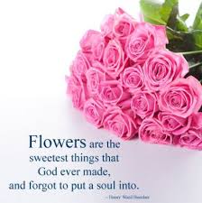 12 Moments To Remember From Rose Flower Quotes In English Rose Flower Quotes In English Rose Flower Quotes Flower Delivery Online Flower Delivery