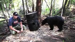 How To Field Judge A Black Bear