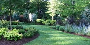 Unlike landscaping with shrubs, using bushes will add a variety of decorative features to a yard because they provide incredible height to the space rather than simply low lying ground cover. Cornell Cooperative Extension Landscaping With Trees And Shrubs