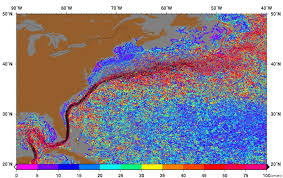 The Gulf Stream