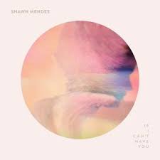 Download Mp3 Shawn Mendes If I Cant Have You Shawn Mendes Album Shawn Mendes Songs Shawn Mendes