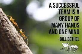 Pin On Ant Quotes