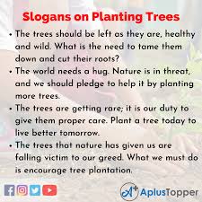 These slogans are simple yet meaningful. Slogans On Planting Trees Unique And Catchy Slogans On Planting Trees In English A Plus Topper