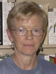 Dr Helle Bielefeldt-Ohmann