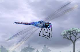 Image result for Pterygota