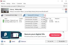Viddly 5 0 203 Download For Pc Free