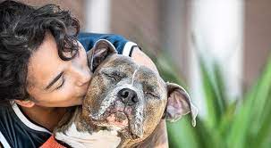 Our store also offers grooming, training, adoptions, veterinary and curbside pickup. Banfield Pet Hospital Home Facebook