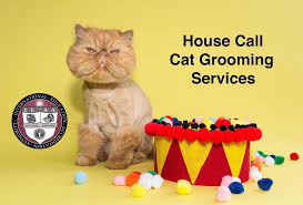 Learn about proper cat grooming including brushing your cat's fur, cat baths, and clipping your cat's claws. Feline Whiskers Grooming Home Facebook