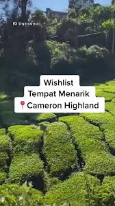 To the north, its boundary touches that of kelantan; Entdecke Beliebte Videos Von Mau Kerja Cameron Highland Tiktok