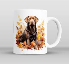 Image result for labrador retrívr