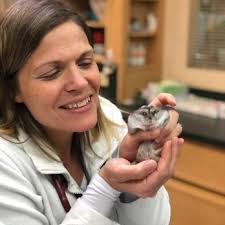 LANGE ANIMAL HOSPITAL