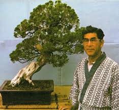 Here are ten of the most popular varieties to get you started. January Bonsai Book Of Days
