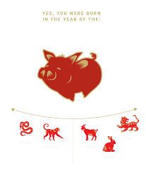 Chinese Zodiac 2019 All You Need To Know About The Year Of The Pig Year Of The Pig Chinese Zodiac World Festival
