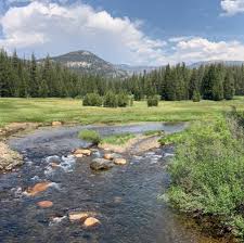 2019 fish camp is set for may 1st through may 12th, 2019! California Fish And Game Wardens Supervisors And Managers Association Home Facebook